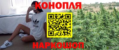 трава Ангарск