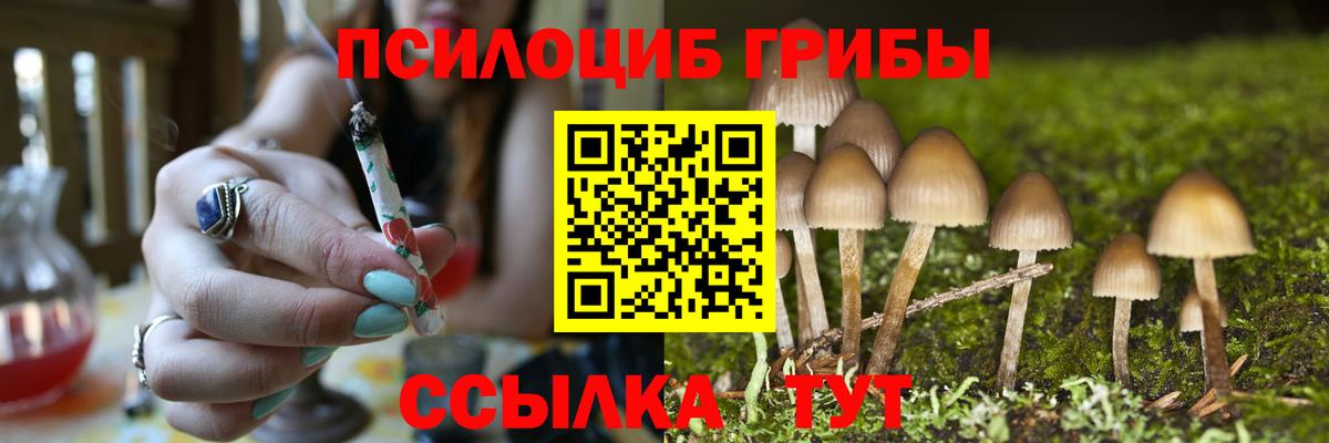 Галлюциногенные грибы ЛСД  Псилоцибиновые грибы MAGIC MUSHROOMS  продажа наркотиков  Вход с VPN  Батайск 